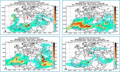 Impact of dry deposition flux and dust intrusion phenomena on elemental concentrations of air particulate matter